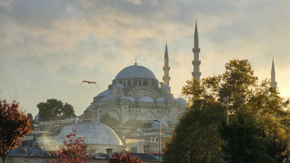 Istanbul's skyline of domes and minarets